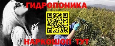 индика Моздок
