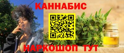 индика Моздок
