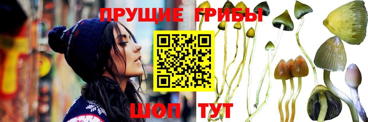 Кокаин Стрежевой